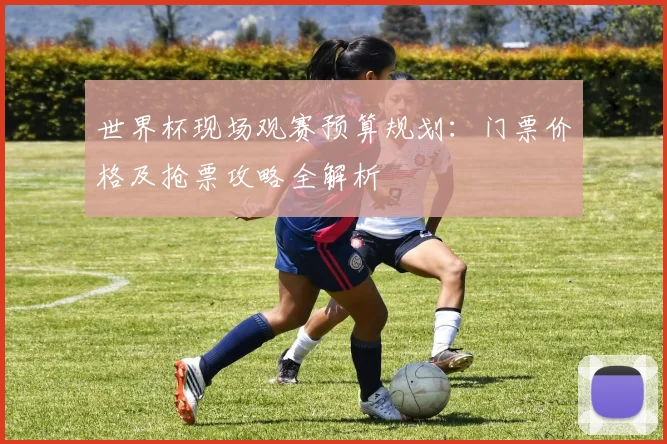 世界杯现场观赛预算规划：门票价格及抢票攻略全解析
