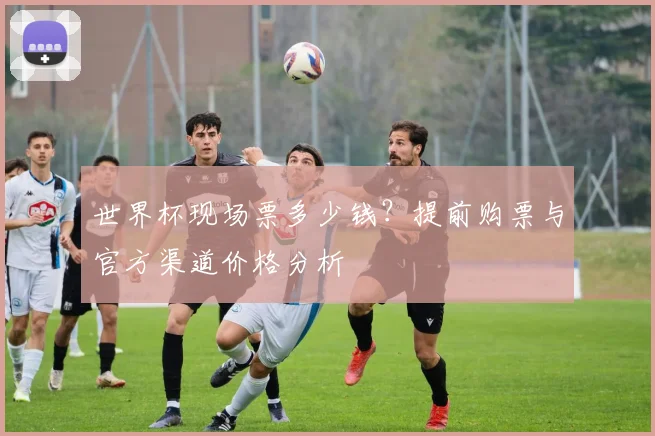 世界杯现场票多少钱？提前购票与官方渠道价格分析